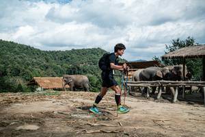 BIB: 
                            <button type="button" onclick="openModal(22423176)" class="btn btn-primary btn-sm float-right btn-popup" data-toggle="modal" data-target=".modal-high-quality">
                        <i class="fas fa-shopping-cart"></i> Add to Cart
                    </button>
                                            <button type="button" onclick="isThisMe(22423176, true)" class="btn btn-success btn-sm float-right btn-popup btn-isme hidden" data-toggle="tooltip" data-placement="bottom" title="นี่คือรูปของคุณใช่ไหม คลิกที่นี่เพื่อเอาเข้าอัลบั้ม">
                        <i class="fas fa-plus"></i> Add to album
                    </button>
                    <button type="button" onclick="isThisMe(22423176, false)" class="btn btn-warning btn-sm float-right btn-popup btn-isnotme hidden">
                        <i class="fas fa-ban"></i> Remove from album
                    </button>